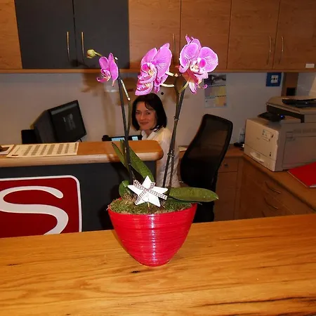 Bed & Breakfast Garni Siegmundshof - Inclusive Joker Card Im Sommer Saalbach-Hinterglemm